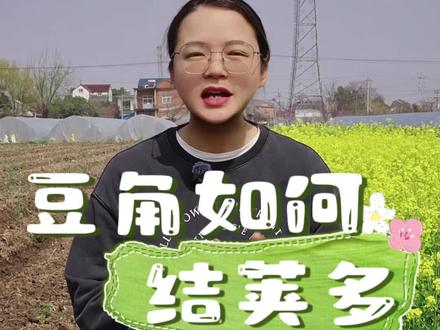 如何才能让豆角多结豆荚呢? #豆角 #豆角种植 #种植小技巧 #关注我一起学种菜 #自己种的纯天然的绿色蔬菜