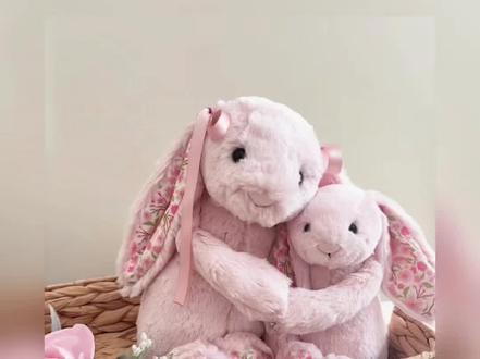 以前觉得Jellycat小小一只很贵 但是直到后来我刺绣了#jellycat