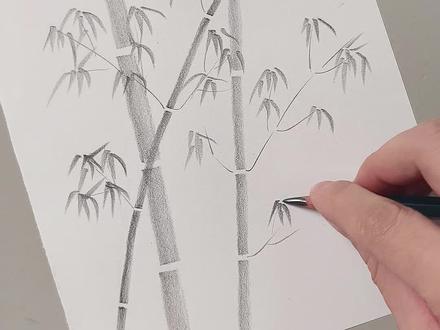 一支铅笔一张纸,30秒教你画竹子。
#一起学画画 #简笔画