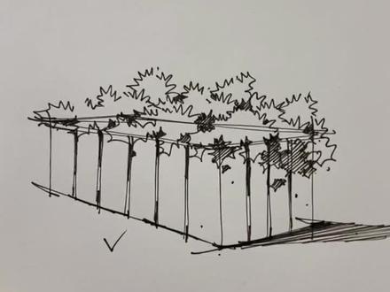 有手就能画的植物盆景,一起画起来#手绘 #植物