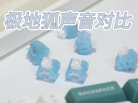 你的室友还好吗?#极地狐
#客制化机械键盘