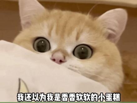 什么?这是体脂率爆表?#搞笑#万万没想到#扎心