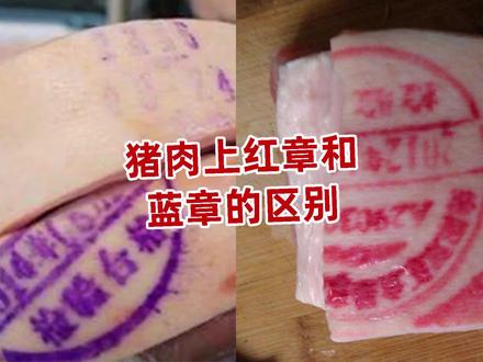 猪肉上红章和蓝章有什么区别?盖章位置还能吃吗?今天终于明白了