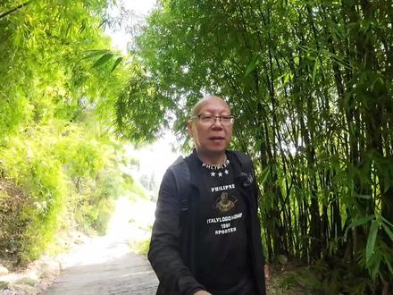 雄与秀并,安岳小众旅游秘境,最美华严三圣造像——塔坡摩崖石刻 #历史古迹 #摩崖石刻 #小众旅游打卡景点