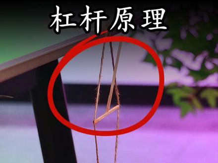 几个不可思议的科学实验,都蕴含着强大的科学道理#物理启蒙 #涨知识 #科学实验