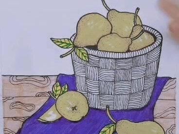 【线描】一二年级课程内容 #一起学画画 #手绘