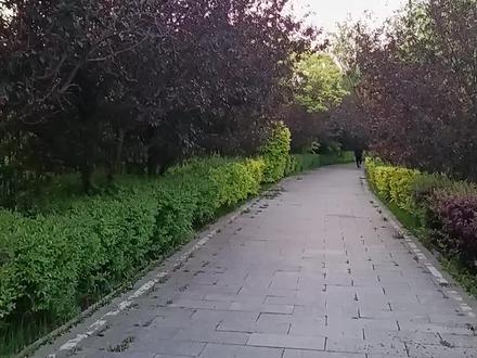 “图瓦不是蒙古人,也不是哈萨克人”这点常识,还能翻来覆去炒成流量话题?这就像把速冻饺子当铁锅炖,味道没变,热闹倒是不小。真要说,这都属于民族学里的开机画面,老早就点过“我知道了”,结果还有人每天点进去当新番看,属实是“内容匮乏型复读机”。#图瓦