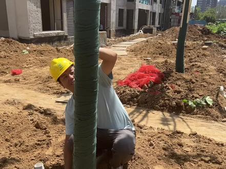 什么是胸径、地径、米径?胸径是指距地面往上1.3米处的树干直径。
米径是指距地面往上1.0米处的树干直径。
地径是指距地面往上0.1米处的树干直径#园林绿化 #景观 #绿化