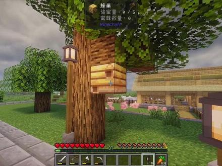 最后再加一个蜂场,整个牧场就完成啦 #我的世界 #游戏日常