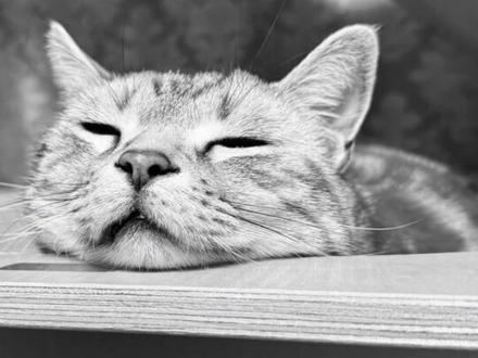 “总有那么一瞬间,忽然鼻子一酸,内心五味杂陈…”