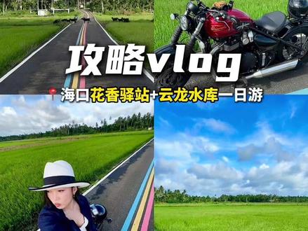 海口周边的稻香!1分钟攻略来啦! #摩托车 #复古机车 #骑行路线 #攻略 #稻香