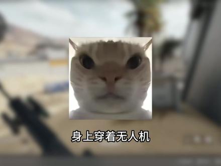 你是让我穿着瞪羚和无人机跟你打航天吗? #三角洲 #三角洲行动 #三角洲行动攻略 #三角洲新年正当红