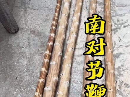 南对节木鞭杆的加工制作方法#户外装备 #户外爱好者 #鞭杆 #以木会友 #带你玩木头