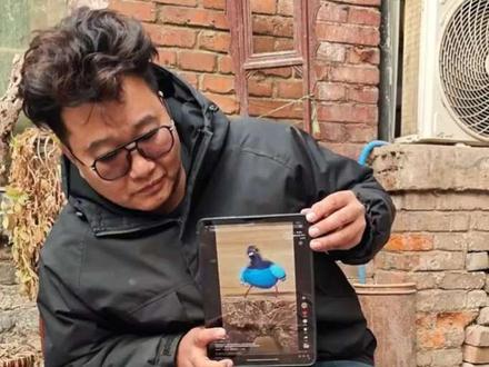 疯狂的鸽子
裸眼3D指南#手工整活版疯狂的鸽子来了 #文言文 #创意 #技术流自带bgm #生活小妙招 @清风官方旗舰店 #跳个清风好运舞