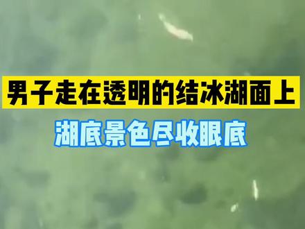 美国一男子走在透明的结冰湖面上,湖底景色尽收眼底。