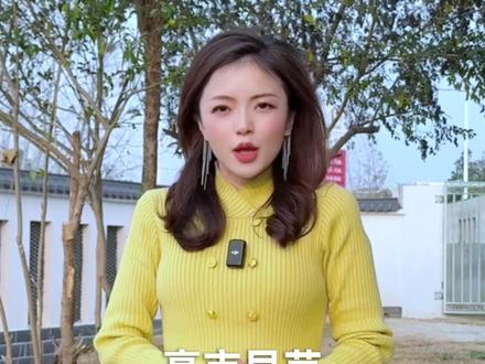 扛不住了,高市想求见特朗普分担压力,西方的沉默重击日本的嚣张 #全球创作者计划 #零基础看懂全球 #军事博主冯亚男