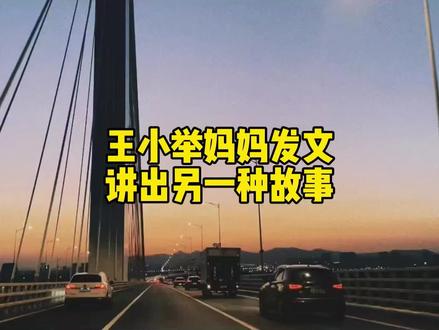 王小举妈妈发文讲出另一种故事,寻亲圈信任度再次崩塌…#王小举 #王小举妈妈 #就想说点大实话