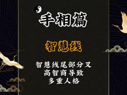 「来半斤」玄学国学知识手相篇智慧线分叉 高智商引发的双重人格 #手相 #掌纹的秘密 #道系青年