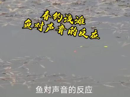 春季在浅滩作钓,各种人为干扰对鲫鱼的影响是否更大呢?#内容启发搜索 #春季野钓 #打窝技巧 #野钓实测 #钓鱼知识