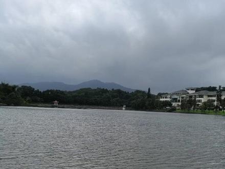 深圳人才研修院,#感受大自然的气息和美景