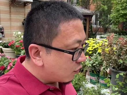 北方院子里种什么花,冬天能够越冬#带你看看我家的花花草草