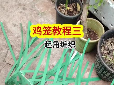 鸡笼教程三起角编织#塑钢带编鸡笼 #手工 #手艺活