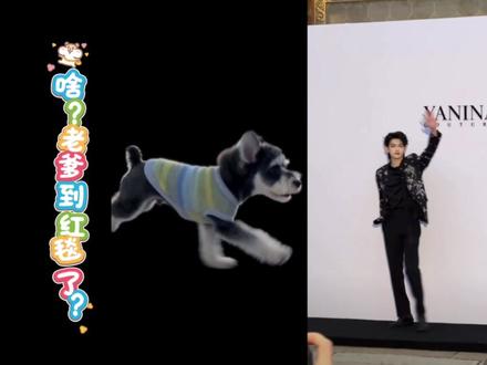 小星河看似啥也没干,实则累的不行#梗图meme #突破次元壁