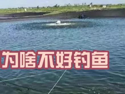 台风过后不好钓鱼,但这两种情况钓友们不妨一试~ #钓鱼 #钓鱼人 #钓鱼技巧