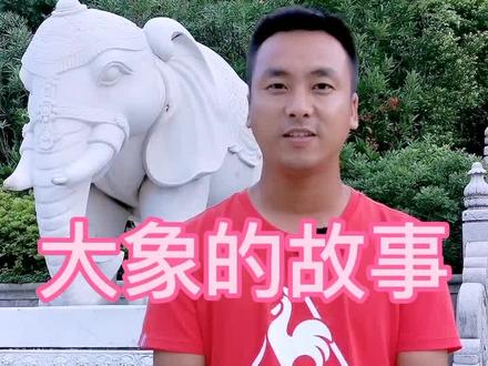 近朱者赤近墨者黑#普陀山 #网红导游