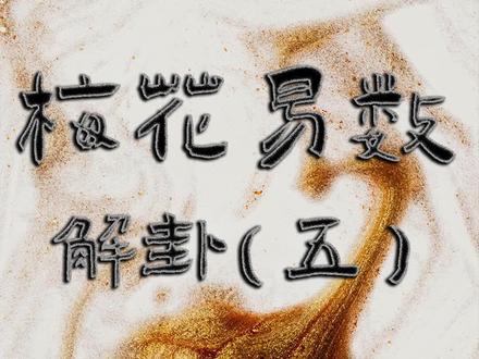 梅花易数解卦篇(五)#梅花易数#国学#传统文化