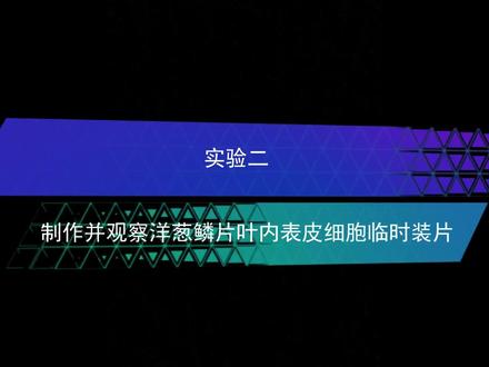 西藏初中学业水平考试生物实验操作(二):制作并观察洋葱鳞片叶 一、实验名称
制作并观察洋葱鳞片叶内表皮细胞临时装片
二、实验目的
1.制作植物细胞临时装片,学习制作临时装片的基本方法。
2.认识植物细胞的基本结构。
3.练习画植物细胞结构简图。
三、材料用具
洋葱鳞片叶,清水,碘液,镊子,刀片,滴管,纱布,吸水纸,载玻片,盖玻片,显微镜,培养皿,擦镜纸。
四、考查内容
1.检查实验用品。
2.制作洋葱鳞片叶内表皮细胞临时装片。
3.观察临时装片(看清细胞结构后,示意监考教师检查)。
4.画洋葱鳞片叶内表皮细胞结构简图(细胞结构简图3分,结构名称3分)。
请将低倍镜下观察到的物像,选其中一个细胞用铅笔画出并标明观察到的各部分结构,周围的细胞只勾出轮廓即可。
5.整理器材。