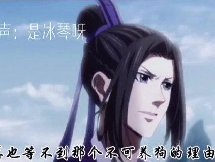 #魔道祖师 #忘羡 魔道的最后,成全了忘羡,也只成全了忘羡 #冰琴