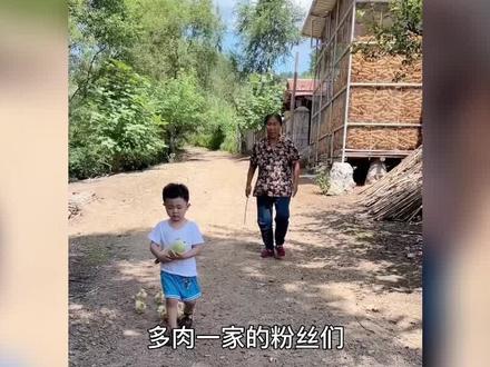 多肉小盆友:两岁小孩圈粉八百万,靠鸭子兄弟引得网友关注,多肉小盆友到底有何魅力 #网红 #娱乐