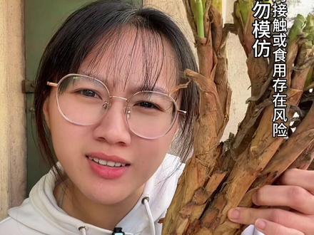 今天应粉丝投稿挑战个陕北红葱 好吃爱吃 广东辣王轻松拿捏#陕北红葱 #美食测评 #奇葩挑战 #不辣