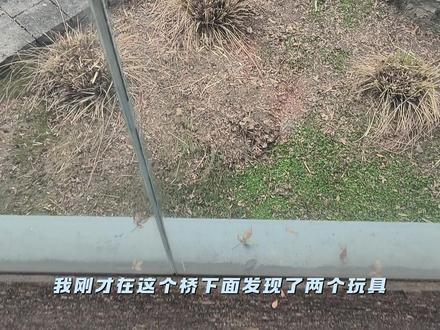 小青蛙带我玩飕狗,挑战凌霄宝殿。 #玩具车 #飕狗摩托车