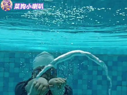 我找到了这个世界上最有用的教程#游泳 #教学 #泳池 #万万没想到