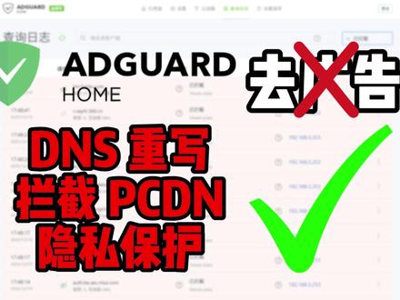 放弃“去广告”幻想! PVE 9.1 & 飞牛NAS 双平台安装教程:这才是 AdGuard Home 的正确打开方式
#飞牛nas #nas #pve虚拟机#adguardhome#PCDN