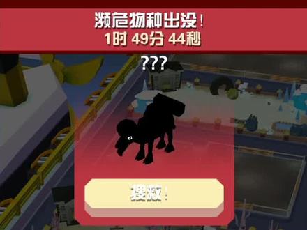 疯狂动物园:着火了!没有水!我与这只骆驼有缘无分