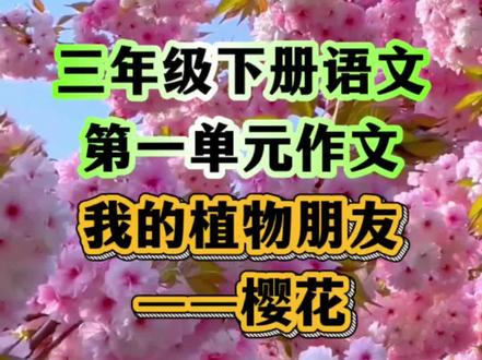 三年级下册语文第一单元《我的植物朋友——樱花》,收藏起来给孩子学习吧!#三年级下册 #小学语文 #作文素材 #作文