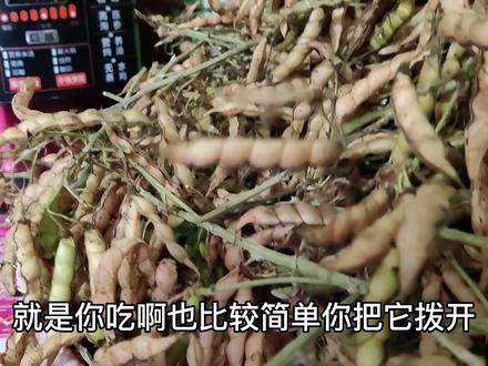 冬瓜排骨木豆汤 #木豆 #海南胡椒 #农业新青年
