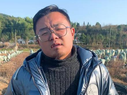 常绿果树冬季怎么做防冻呢,今天教大家一个小技巧!#云苗库 #果树种植
