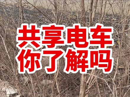 为什么我们这里的美团电单车消失了#新能源领航计划 #上抖音看新车