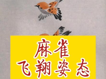 三种飞翔姿态的麻雀的简单画法@DOU+小助手 @DOU+上热门 #创作灵感 #鸟的画法 #写意花鸟 #国画教程 #一起学画画