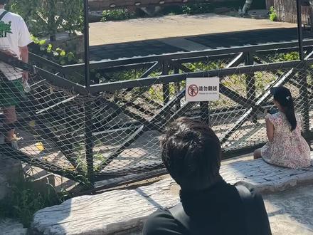 #北京欢乐谷 #特洛伊木马 失重感让我两眼一黑,进入“濒死状态”,我只配旋转木马……