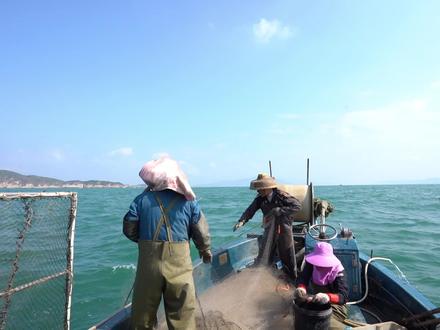 椒盐九肚鱼好吃的关键在这步,学会了比饭店做的还好吃 #新农人计划2022 #农村生活 #记录我的农村生活