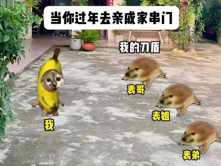 当你过年去亲戚家串门#猫meme #搞笑 #抽象 #我的刀盾