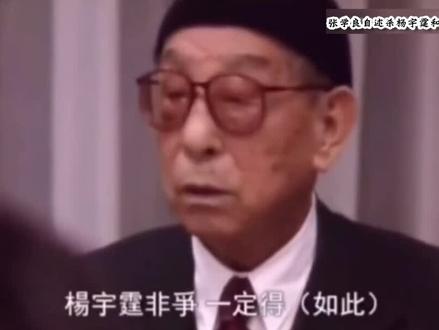 第2/3集:晚年张学良自述枪S杨宇霆常荫槐的过程,竟是抛硬币决定的 #少帅 #张学良