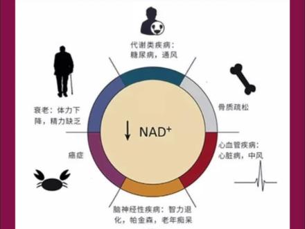 nad和nmn有什么区别,nad和nmn关系,说说!#nad和nmn有什么区别 #nad #nmn #nmn端粒塔25000 #nmn端立塔