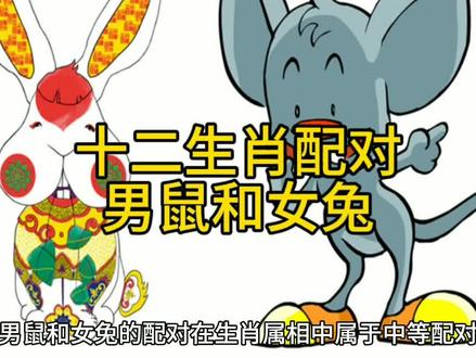 十二生肖配对男鼠和女兔 #十二生肖情感