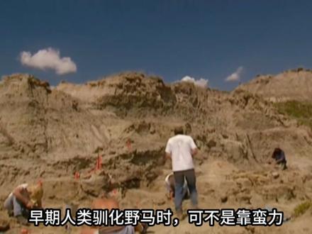 别被电视剧骗了!马鞭抽马的真相全是演的 #动物科普
#古代畜禽驯化对人类文明的影响 #知识前沿派对 #影视剧冷知识